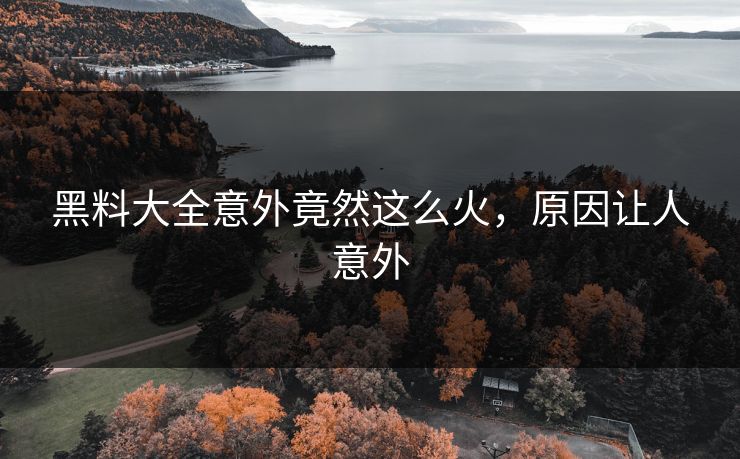 黑料大全意外竟然这么火，原因让人意外