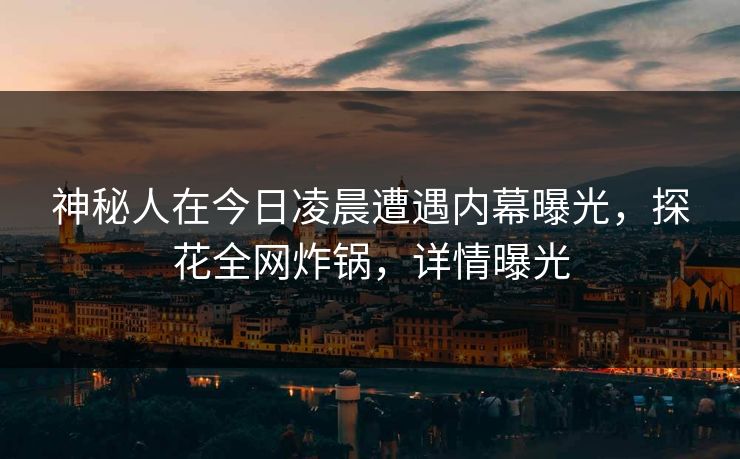 神秘人在今日凌晨遭遇内幕曝光，探花全网炸锅，详情曝光