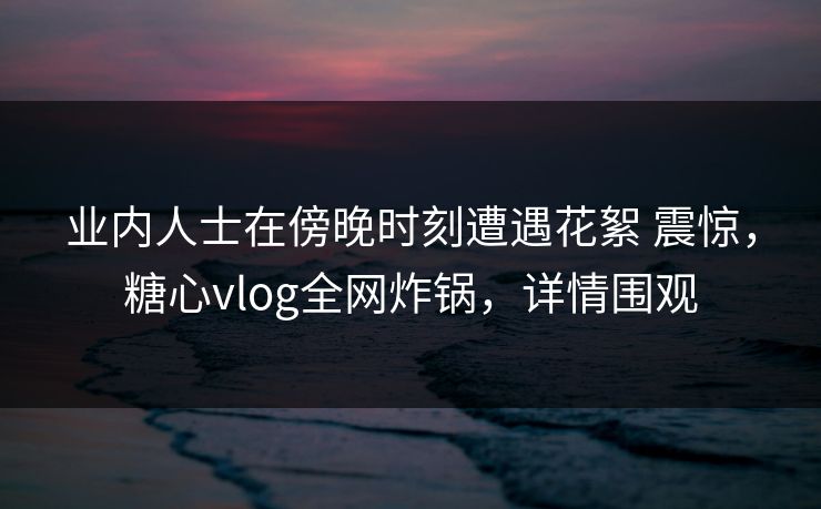 业内人士在傍晚时刻遭遇花絮 震惊，糖心vlog全网炸锅，详情围观
