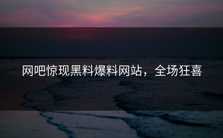 网吧惊现黑料爆料网站，全场狂喜