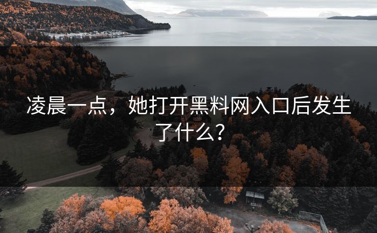 凌晨一点，她打开黑料网入口后发生了什么？