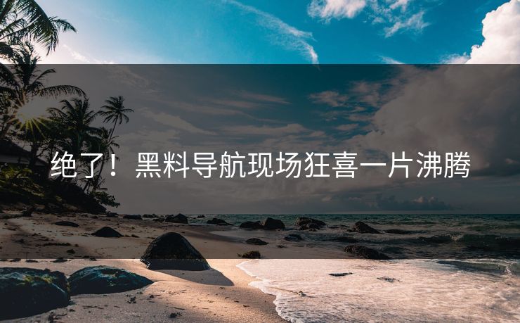 绝了！黑料导航现场狂喜一片沸腾