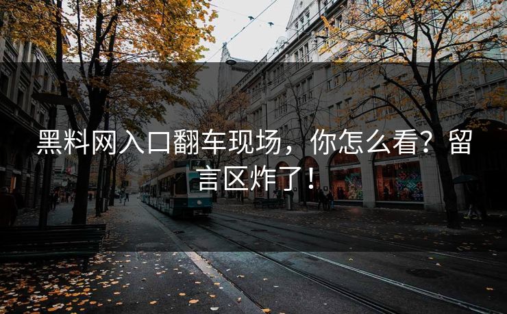 黑料网入口翻车现场，你怎么看？留言区炸了！