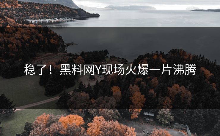 稳了！黑料网Y现场火爆一片沸腾