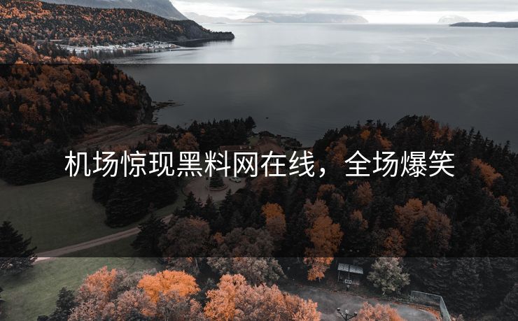 机场惊现黑料网在线，全场爆笑