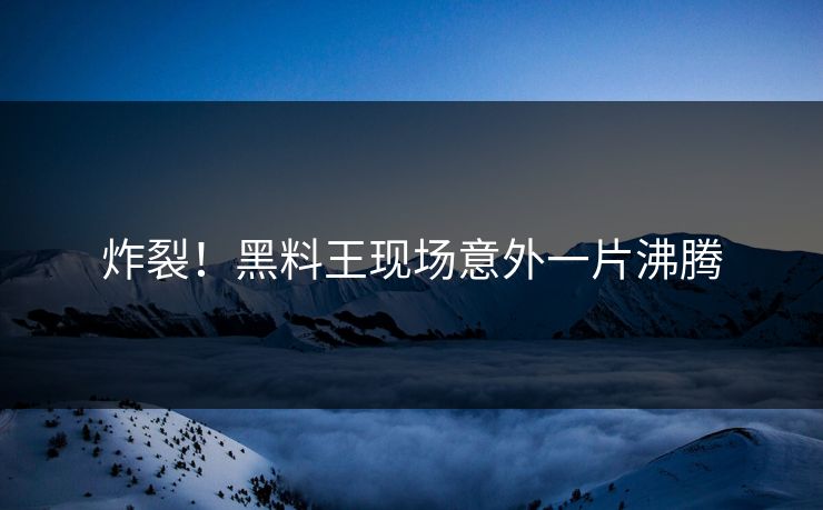 炸裂！黑料王现场意外一片沸腾