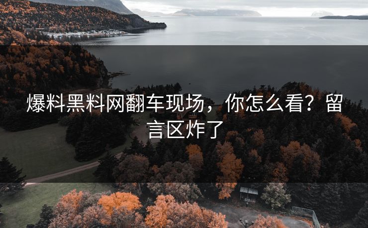 爆料黑料网翻车现场，你怎么看？留言区炸了
