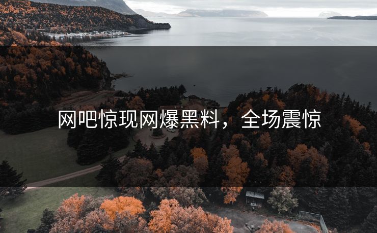 网吧惊现网爆黑料，全场震惊