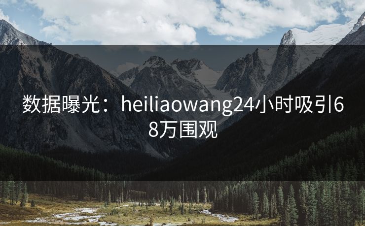 数据曝光：heiliaowang24小时吸引68万围观