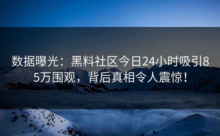 数据曝光：黑料社区今日24小时吸引85万围观，背后真相令人震惊！