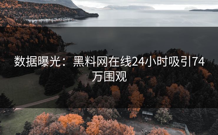 数据曝光：黑料网在线24小时吸引74万围观