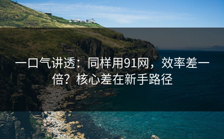 一口气讲透：同样用91网，效率差一倍？核心差在新手路径